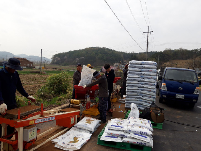 (22일) 문산면, 2019년 첫 못자리 작업 시작