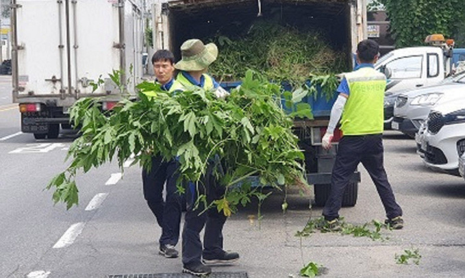 기사사진