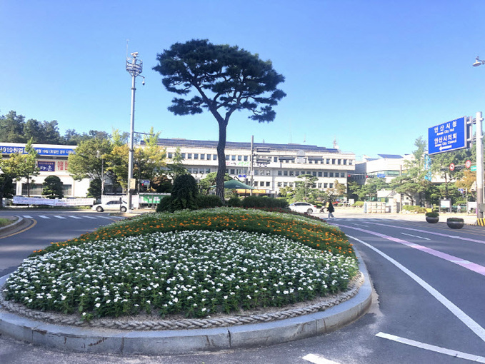 113. 꽃과 함께 가을정취 짙어가는 안산(안산시청 앞)