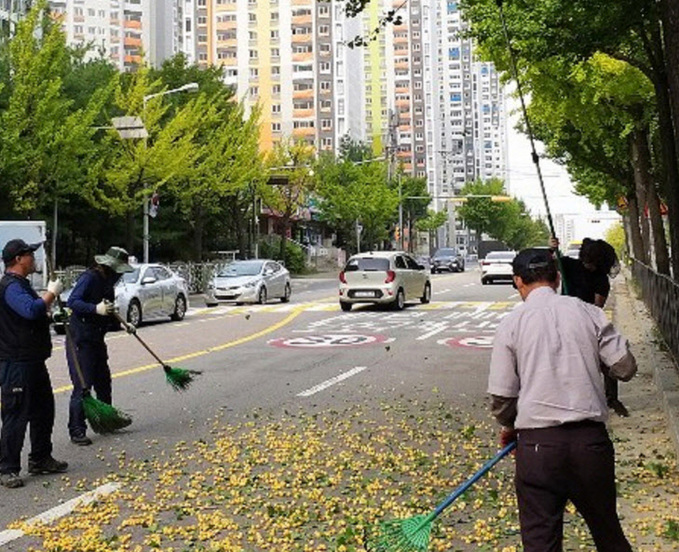 기사사진