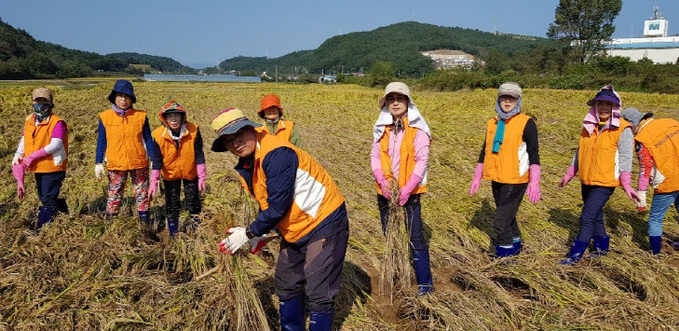 안양수해복구