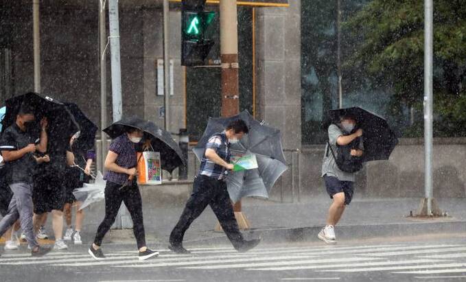 기사사진