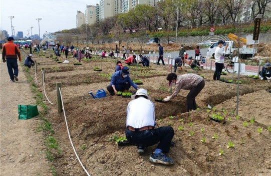 텃밭사진