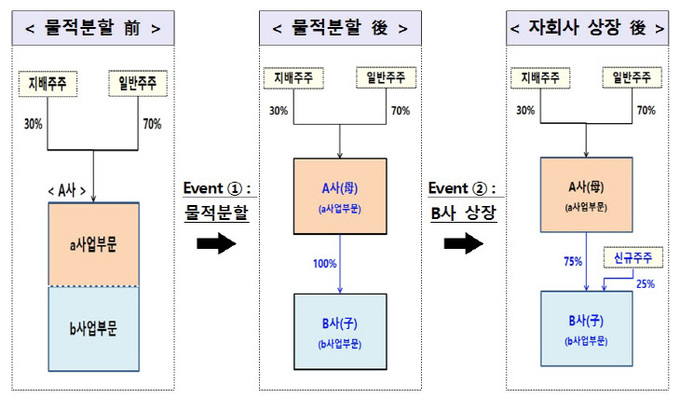 물적분할 개념