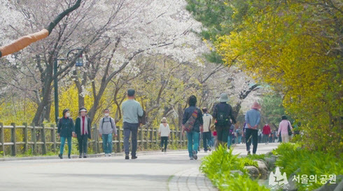 서울시 치매 초기 어르신