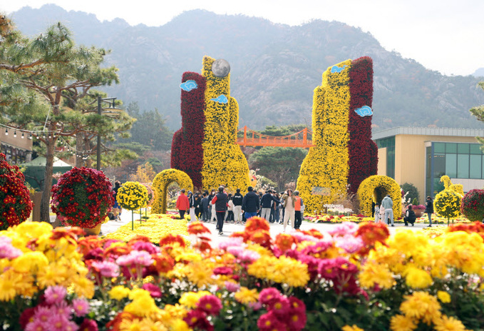 국화축제