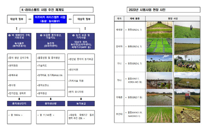 k-라이스벨트 사업 추진 체계도(사진=농림축산식품부)