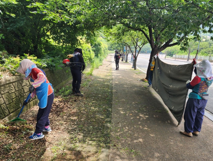 목포시, 주요 간선도로 도로변 및 인도 제초작업)