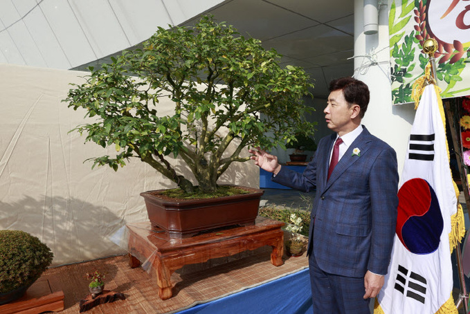 1-2. 보성군, 제1회 대한민국 차나무 분재 대전 개최