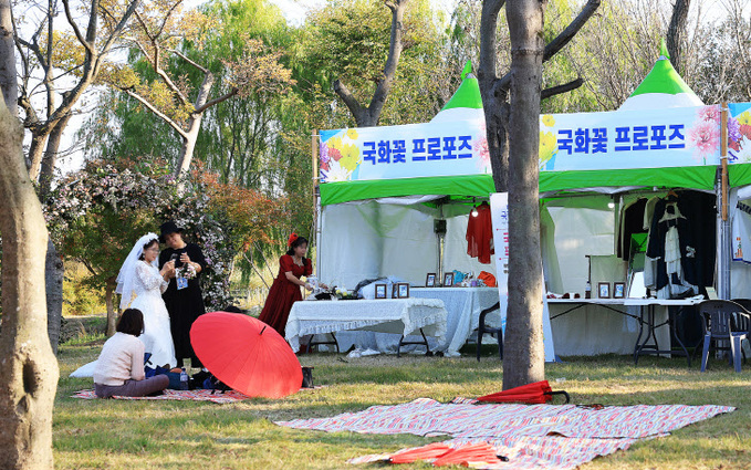 함평군, 국향대전서 관광객 대상 ‘국화꽃 프러포즈’ 체험존