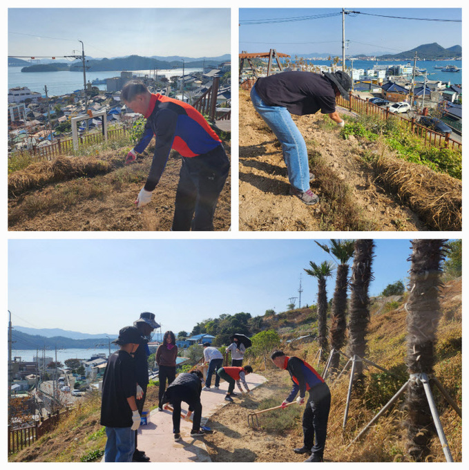 4.목포시 서산동 보리언덕, 보리파종으로 볼거리 확대