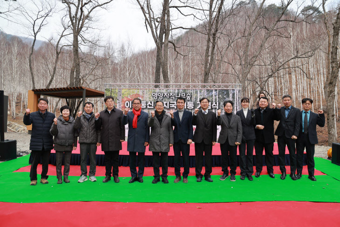 경북 영양자작나무숲 이동통신기지국 개통