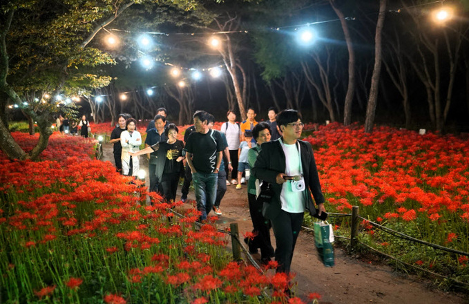 영광불갑산상사화축제, 2024년 전라남도 대표축제 선정