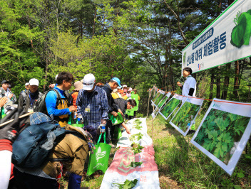 경북 영양군 “영양에서 자란 산나물 드시러 오세요”