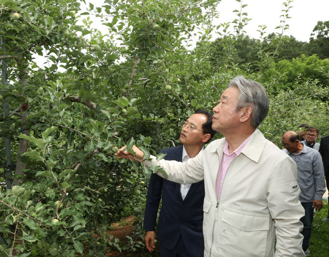 강호동 농협중앙회장, 경남 거창 농가 생육동향 점검