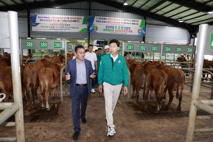 추석 대목장을 맞아 보성축협 가축시장 방문 격려