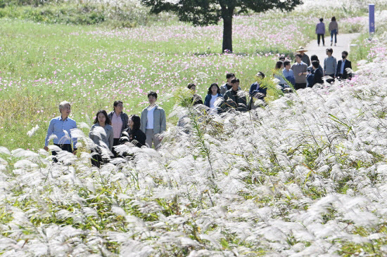 지난해 억새축제 사진