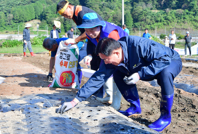 장성군, 북하면 ‘산나물축제’ 사전 준비기대감 쑥쑥!