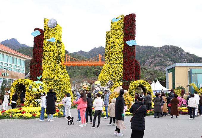 [영암군 자료사진] 2023월출산 국화축제