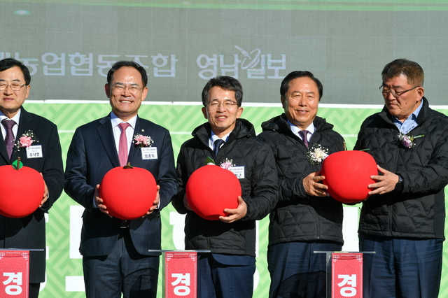 2025년 11월 경북사과 홍보행사 관련 사진
